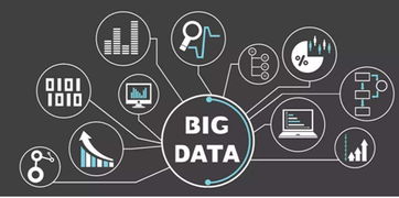 岚府品牌深度解析 实体门店生存现状分析与技术驱动下的破局之道